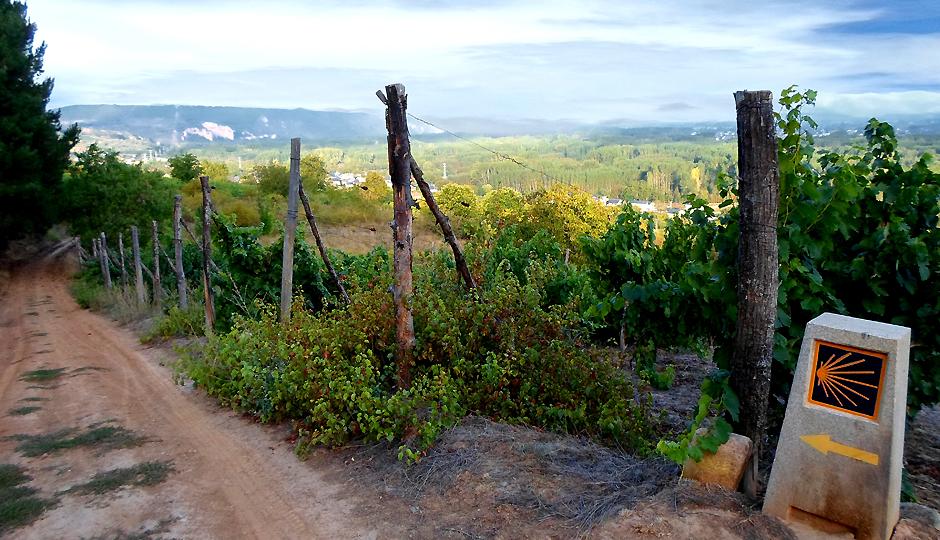 Camino Invierno