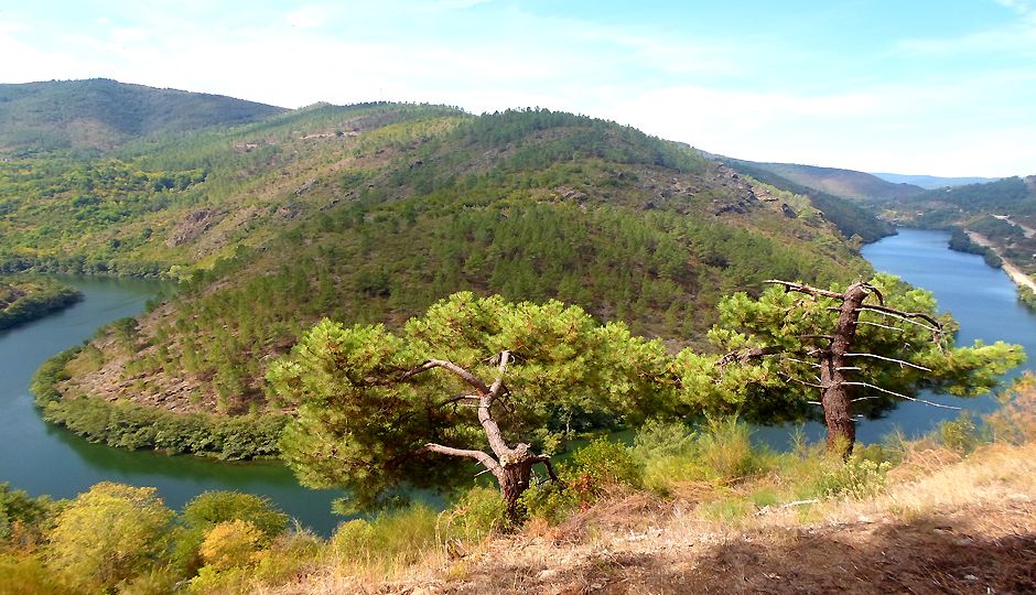 Camino Invierno Rio Sil