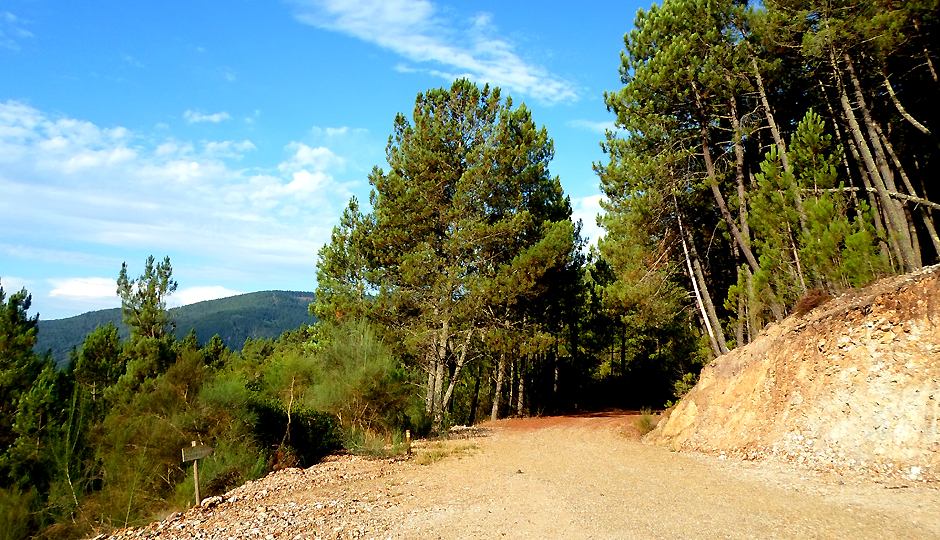 Camino Invierno