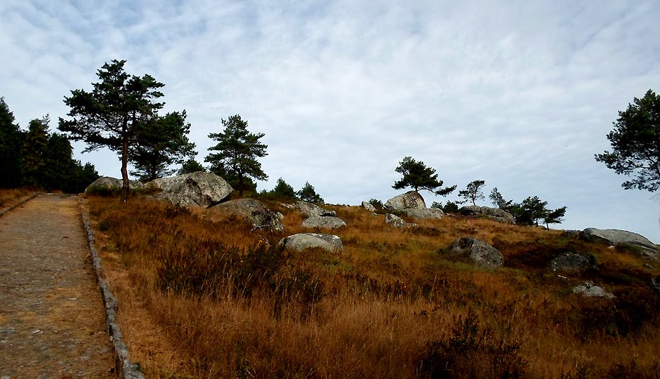 Camino Invierno Alto do Faro